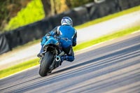 Oulton-Park-20th-March-2020;PJ-Motorsport-Photography-2020;anglesey;brands-hatch;cadwell-park;croft;donington-park;enduro-digital-images;event-digital-images;eventdigitalimages;mallory;no-limits;oulton-park;peter-wileman-photography;racing-digital-images;silverstone;snetterton;trackday-digital-images;trackday-photos;vmcc-banbury-run;welsh-2-day-enduro